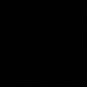 Meet your Posher, Anyssa